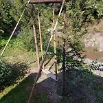корінь