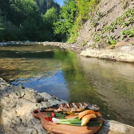 корінь Krasnoillya