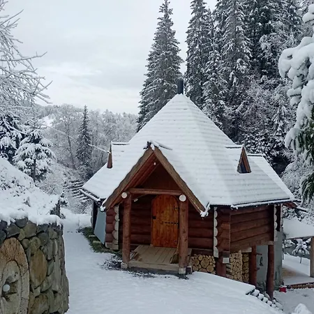 корінь