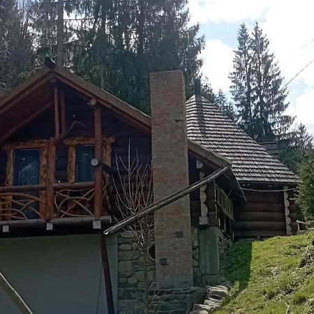 Holiday home корінь